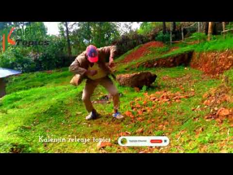 2nd JUNIOR KOTESTES Yonkimii Tuan Oo Beby Latest Banger Kalenjinmusic Best Kenya Bomet