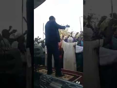 ودالبكــري كردفان بلدي