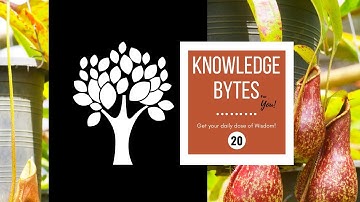 20. Knowledge Bytes - Amazing Facts