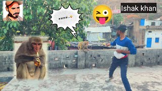 cute 😜animals funny🐒 video 2024😜 #trending #viral #monkey