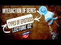 Interaction of genes| Types of gene interaction | Types of epistasis| Ressecive epistasis