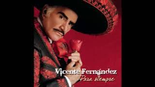 Vicente Fernández - El Rey.