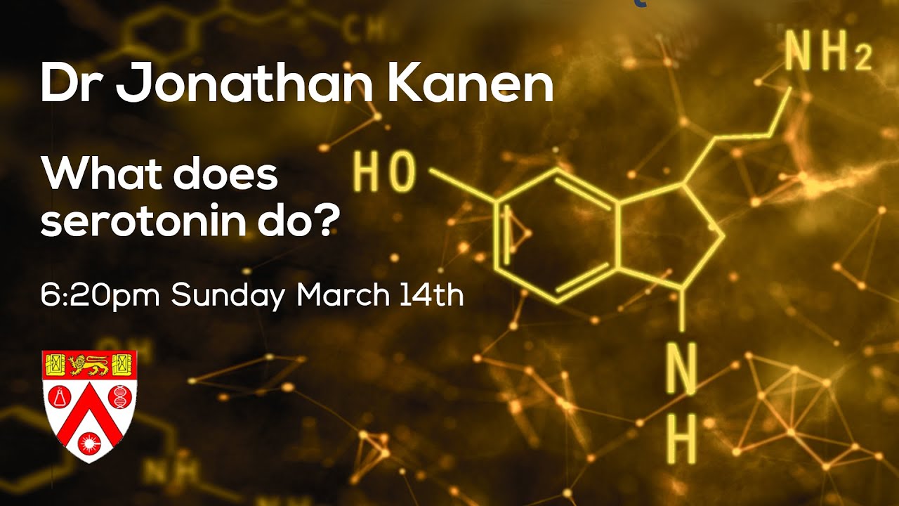 Dr Jonathan Kanen: What Does Serotonin Do?