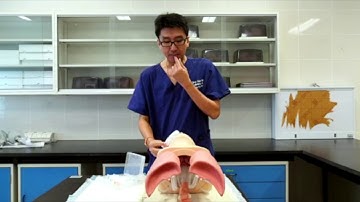 Anaesthetic Equipment Made Easy For OSCE