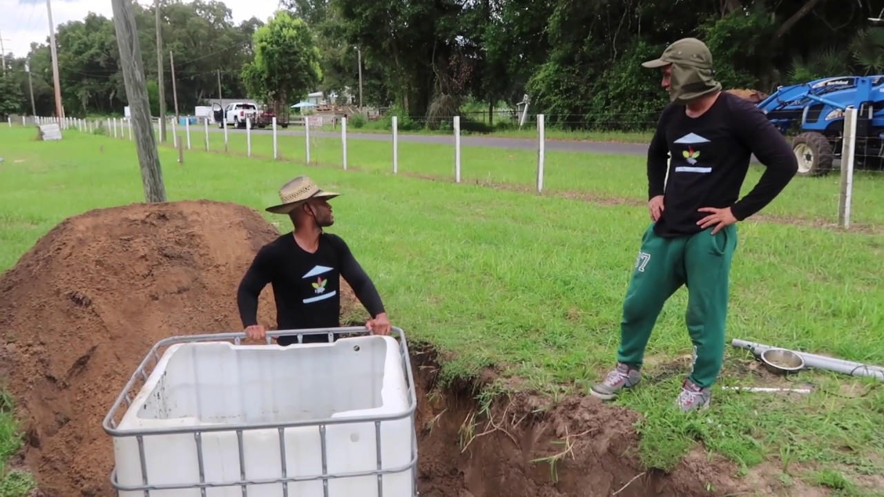aquaponic mineralization tank - aquaponic