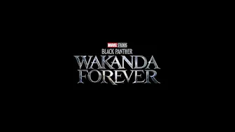 No Women, No Cry X Alright, but it‘s a full version (Black Panther: Wakanda Forever) No Women, No Cry X Alright, but it‘s a full version (Black Panther: Wakanda Forever)