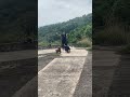THE THREE DANCERS #shorts #viral #trending #cute #puppy #video #funny #dance #share #love #foryou