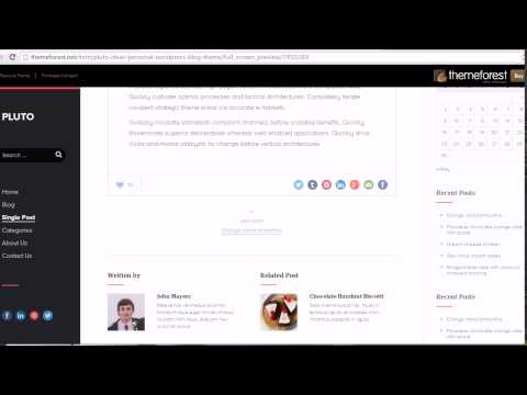 Pluto - Clean Personal WordPress Blog Theme free download