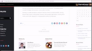 Pluto - Clean Personal WordPress Blog Theme free download Wealth