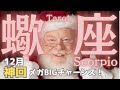 【蠍座】12月の運勢🌈新年を前に今年史上最高の大変化🌈メガBIGチャンスがやってきた🙌タロット占い
