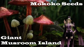 How To Get Mokoko Seeds - Giant Mushroom Island - Lost Ark
