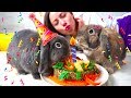 Первый День Рождения Кролик Лизун и Эльза едят торт | Elli Di Pets