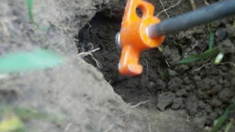 Macabee and Gophinator Pocket Gopher Traps