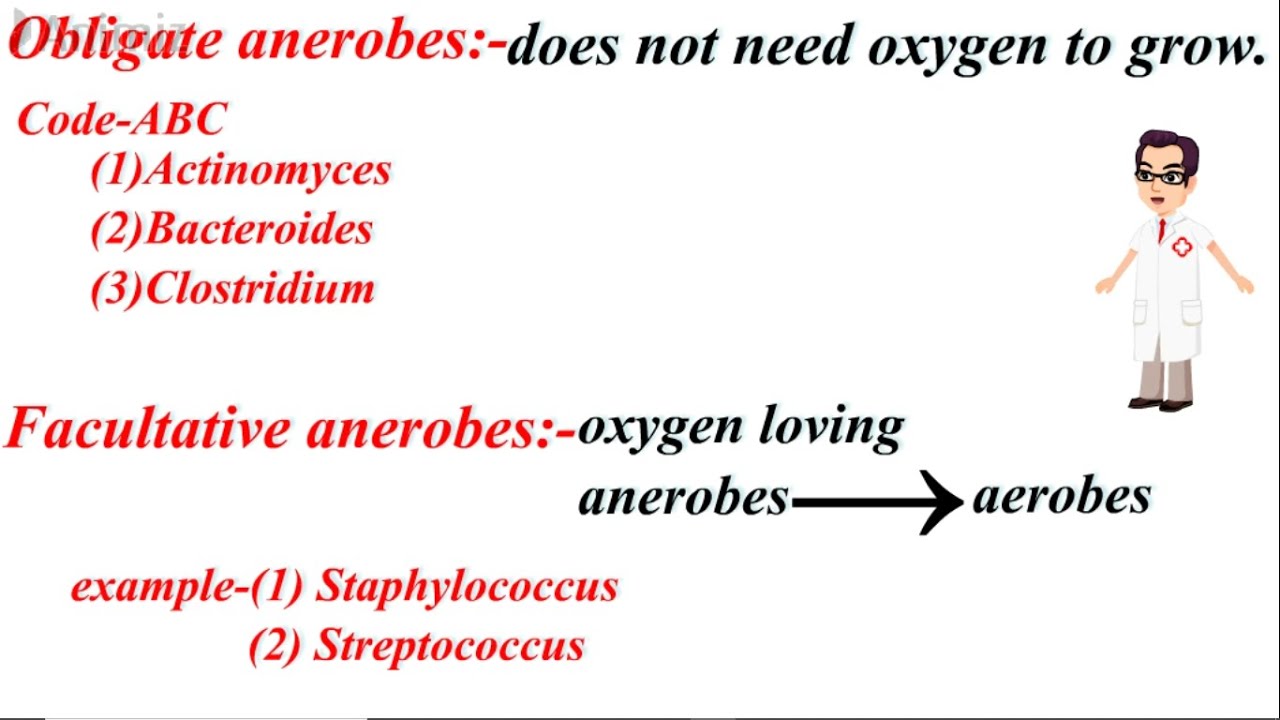 Anaerobic Vs Aerobic Bacteria