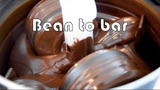 Bean to bar - How to make your own chocolate