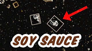 Soy Sauce - So Much Salt!