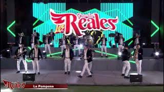 Banda Los Reales - La Pomposa / La Cochinita - CONCIERTO VIRTUAL 3