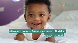 Baby Name Blaise Meaning Origin and Popularity