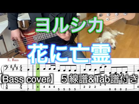 ヨルシカ/花に亡霊【Bass cover】５線譜&Tab譜付き