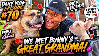Information I FINALLY MET BUNNY’S GREAT GRANDMA!! 😱🐶❤️ SHE’S A LEGEND! 👑🔥 | V Update