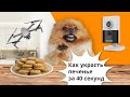 Как украсть печенье за 40 секунд! Обходим PIR датчик движения в камере