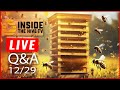 Inside the hive tv 2023 highlights and qa