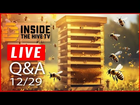 Inside the Hive