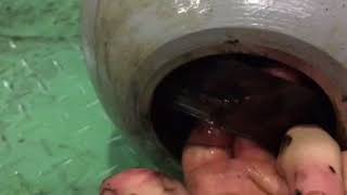 Exclusive accumulator disassembly Details