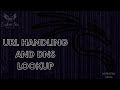 11 - URL Handling and DNS Lookup - Linux course in Arabic