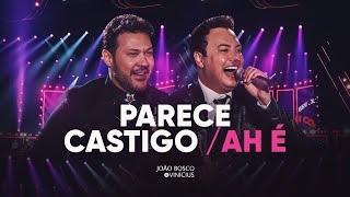 João Bosco & Vinicius  - Parece Castigo / Ah É (DVD JBEV21InConcert)