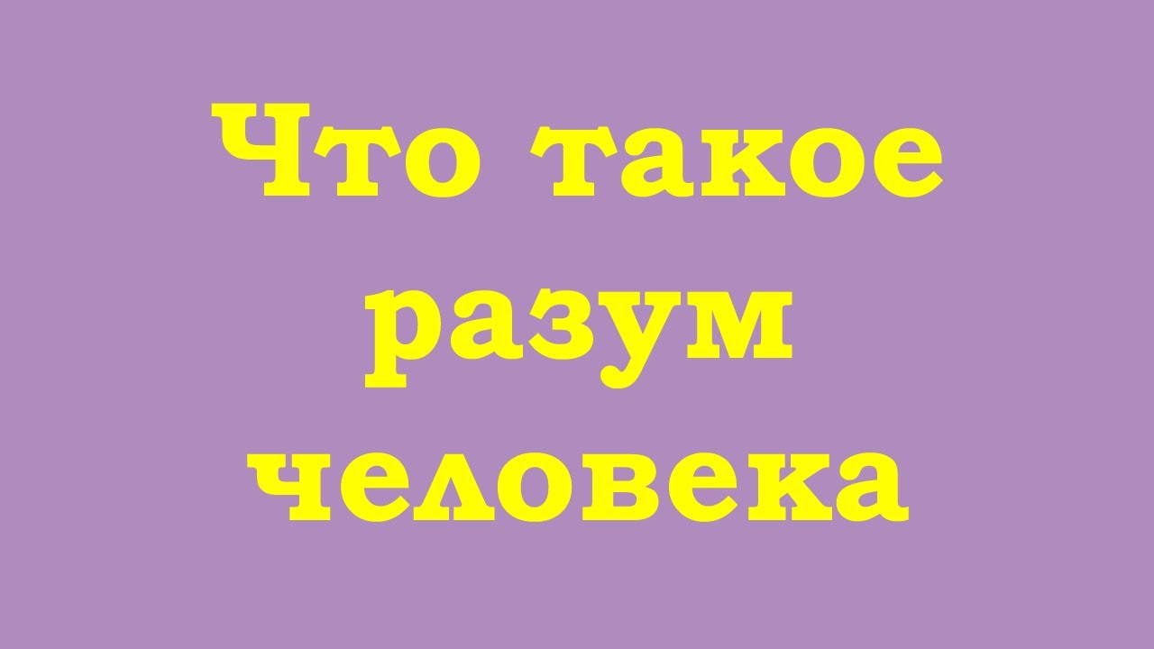 Что такое разум и. Что такое разум и