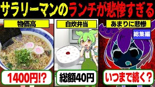 【実話】【物価高の現実】サラリーマンのランチが悲惨すぎる…知られざる苦境とは？【ゆっくり解説ずんだもん総集編】