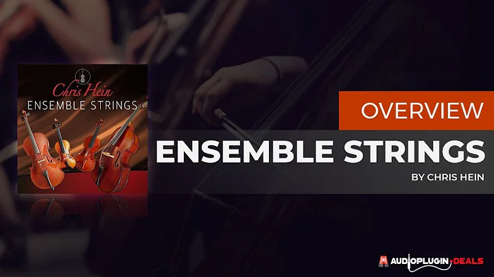 Checking out Chris Hein Ensemble Strings!