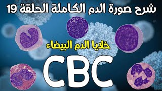 CBC 19 (White blood cells)