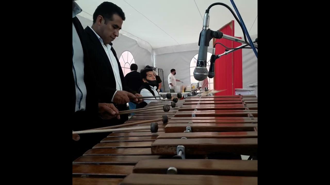 Marimba Típica de Toluca. "cien años" autor Rubén fuentes. contacto