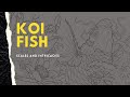 How to draw Koi Fish - Part 1