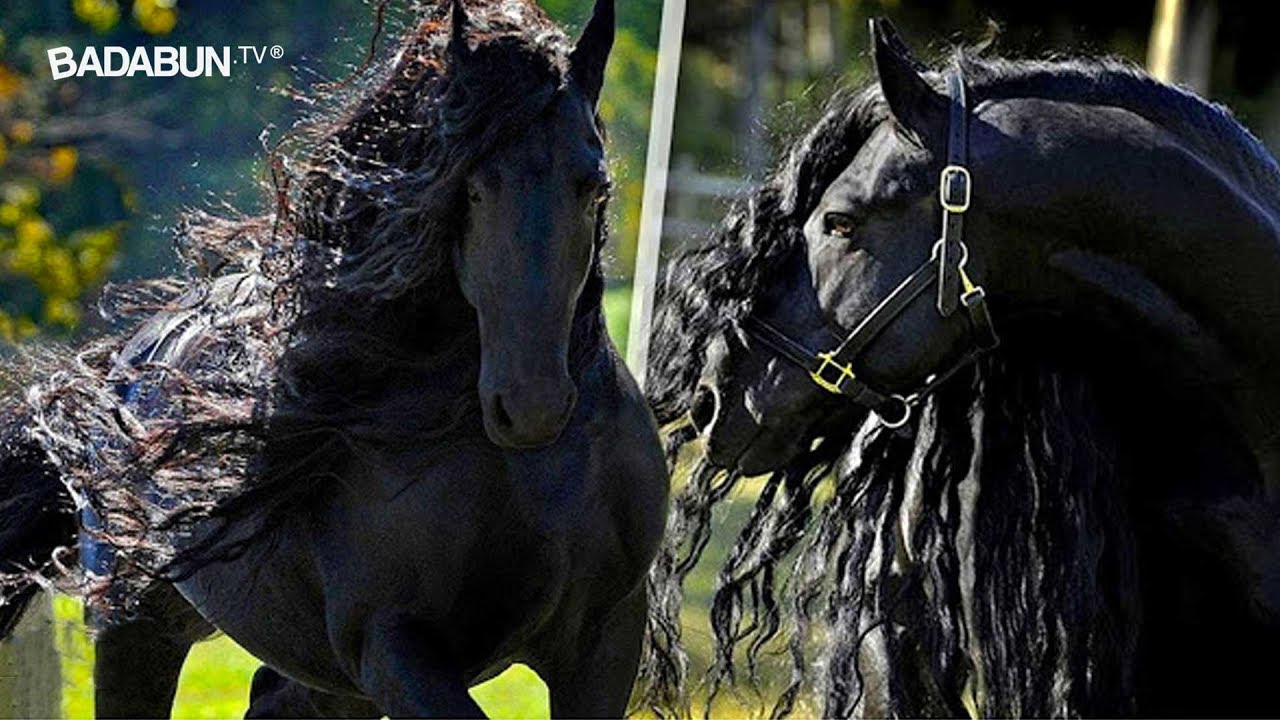 Cuál es el coche con más caballos del mundo