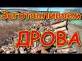 Работа в дровнике, дрова, уборка и др. VLOG. (04.20г.) Семья Бровченко.