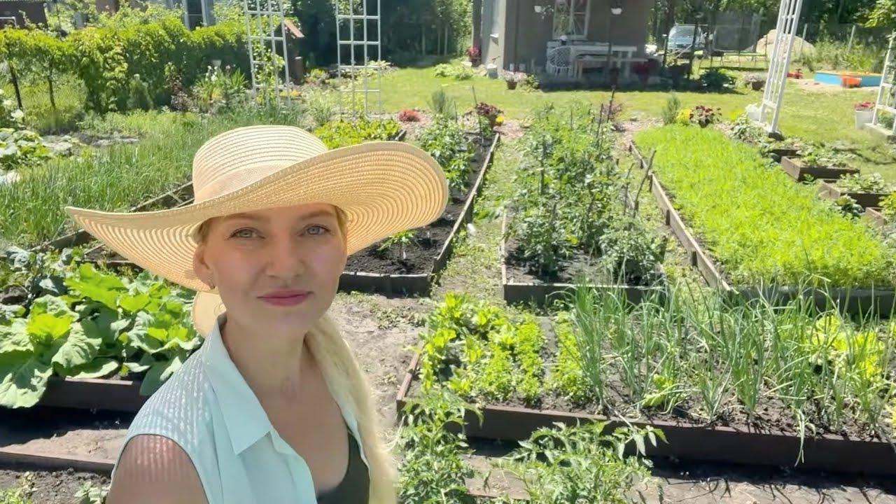 ДАЧА/8 СОТОК 26 ИЮНЯ/ОБХОД ОГОРОДА  ПЕРЕД ОТЪЕЗДОМ В ГОРОД