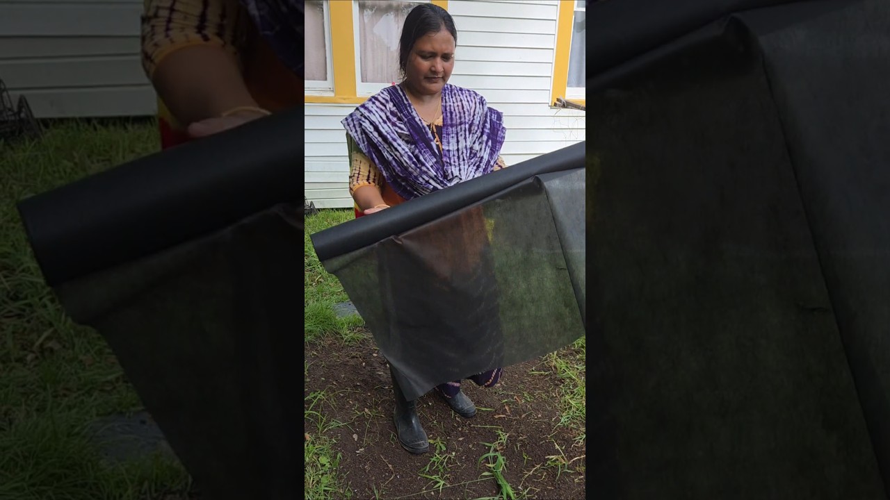 ঘাসের কারণে এই  ব্যবস্থ  #foryou #shortsvideo #garden
