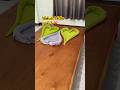วิธีพับผ้าขนหนูให้เป็นรูปหัวใจ #diy #recycle #วิธีพับผ้า#goodidea