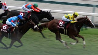 アートハウス の競走馬情報 Pog Info