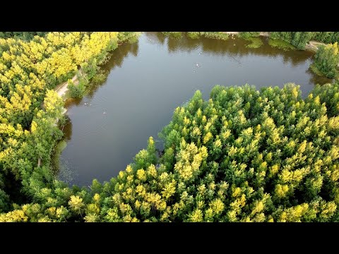 Video: Kuchinsky forest park: foto, beskrivelse. Hvordan komme seg til Kuchinsky-skogsparken?