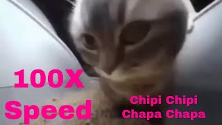 Chipi Chipi Chapa Chapa at 2,5,10 and 100 TIMES SPEED Resimi