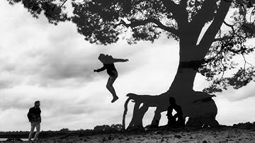 Jeroen Smalbrugge / William Seen