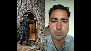 Tree Stump Survival Shelter Build🌲🏡 #viralvideo #bamboo1 #shortsvideo #carftsforhome 🙏🙏👍