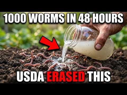 Poured This Into My Dead Garden. Thousands of Worms Showed Up in 2 Days! Why Don't We Know About It?