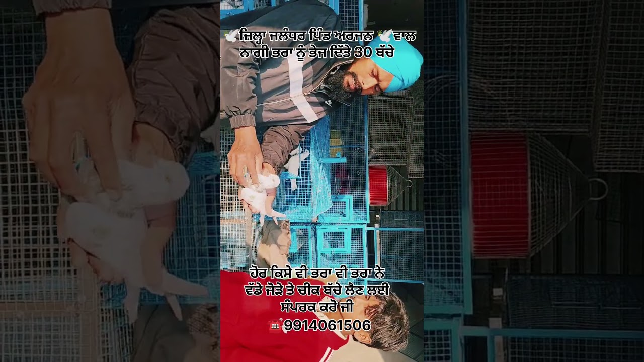 ਫਰੀਦਕੋਟ ਜ਼ਿਲ੍ਹੇ ਪਿੰਡ ਕੰਮੇਆਣਾ ਹਰਜੀਤ ਸਿੰਘ 9914061506