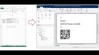Get Qty Print NiceLabel From Excel with Dynamic Qty