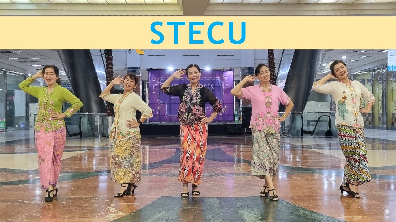 Stecu - Line Dance (Astri Dwi INA Choreography) | Qansa D'Liners